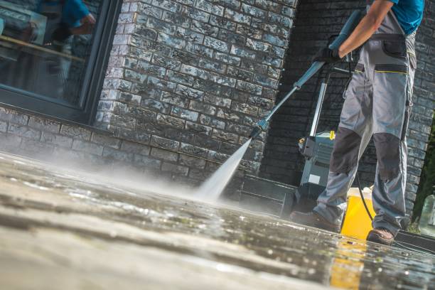Animal Enclosure Cleaning in Pittsburg, TX
